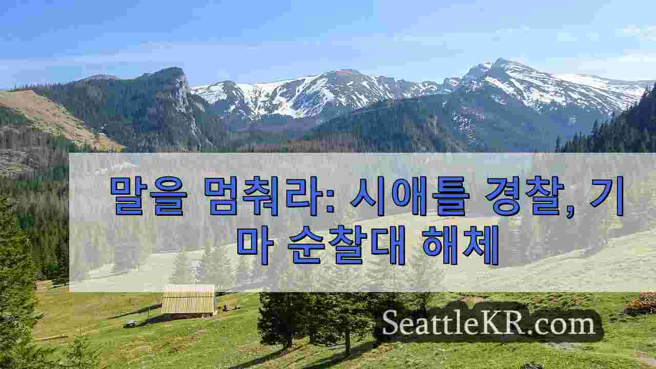 시애틀 뉴스 SeattleKR