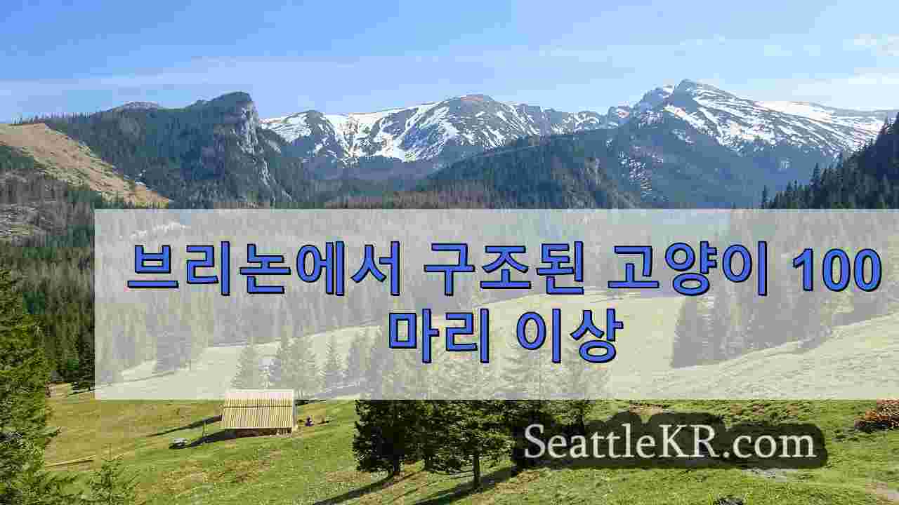 시애틀 뉴스 SeattleKR