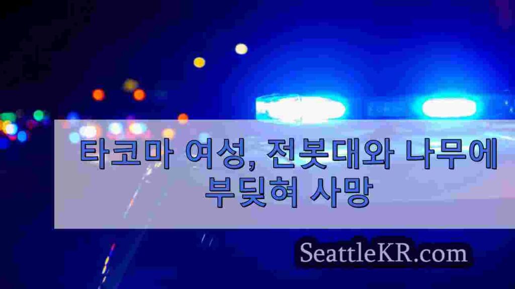 타코마 여성, 전봇대와 나무에 부딪혀 사망
