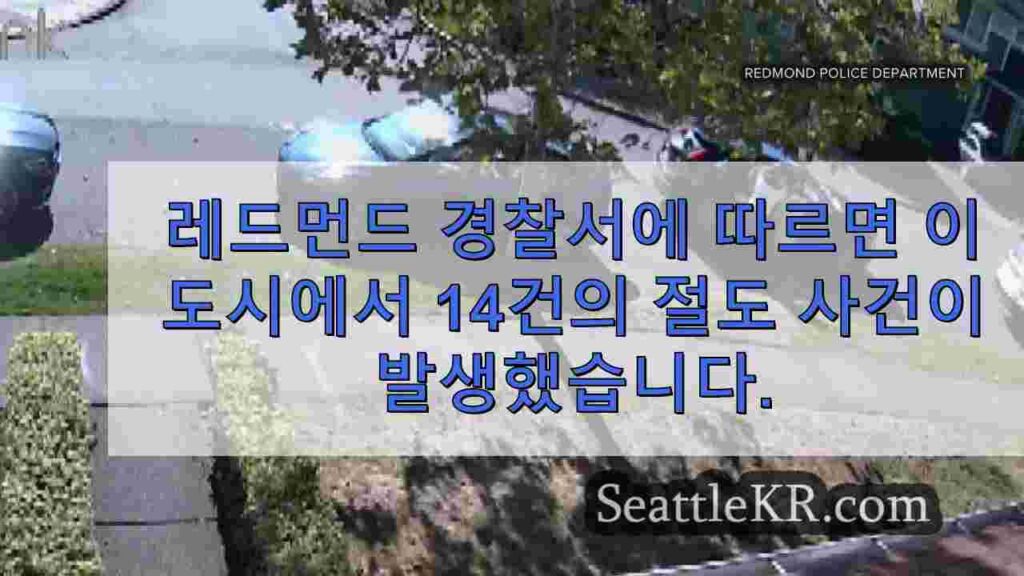 벨뷰, 레드몬드 경찰, 보석 절도 증가 추세 조사 중