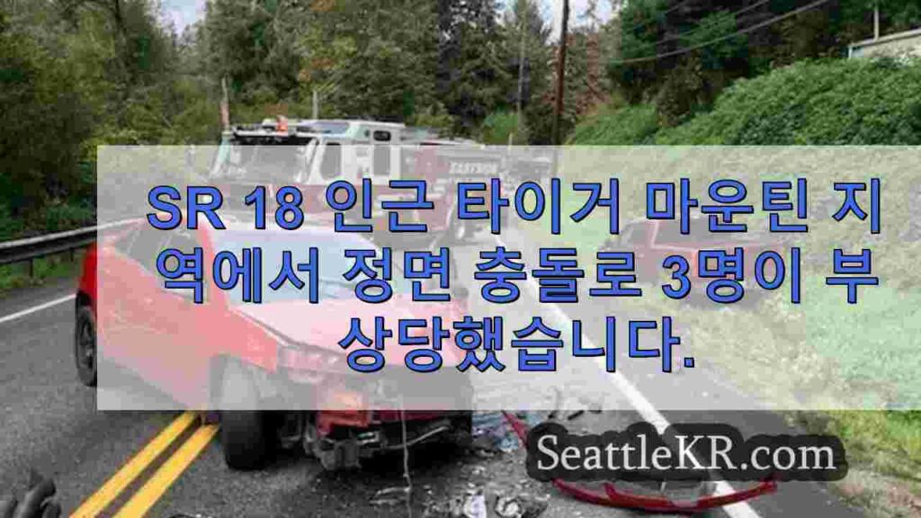 SR 18 인근 타이거 마운틴 지역에서 정면 충돌로 3명이