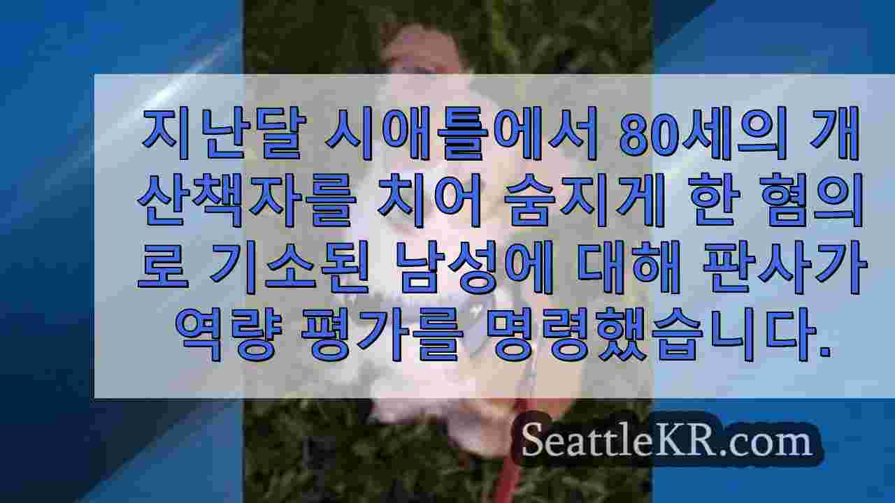 시애틀 뉴스 SeattleKR