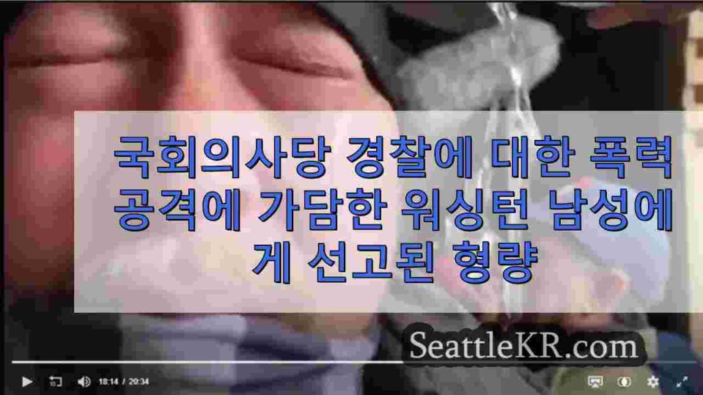 국회의사당 경찰 라인에 대한 폭력 공격에 가담한 워싱턴 남성에게 선고된