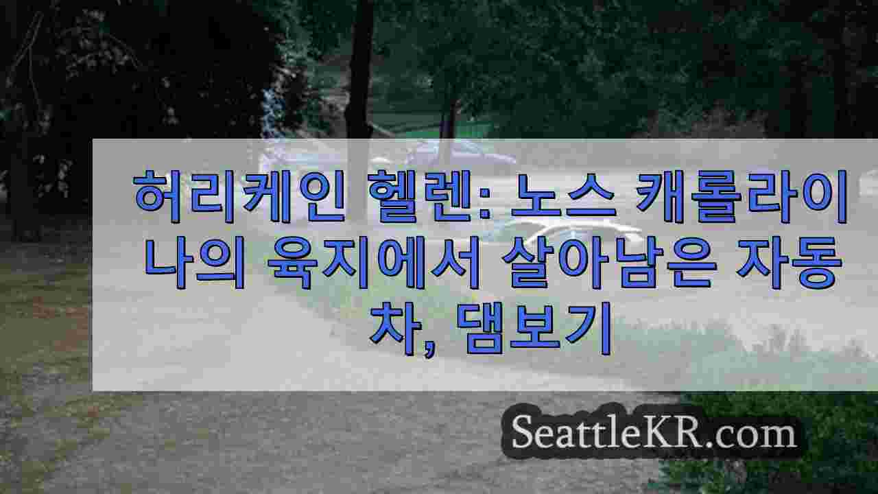 허리케인 헬렌: 노스 캐롤라이나의 육지에서 살아남은 자동차, 피해 상황