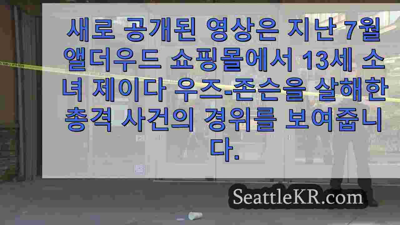 새로 공개된 보디캠 영상은 치명적인 앨더우드 쇼핑몰 총격 사건에 대한 경찰의 대응을 보여줍니다.