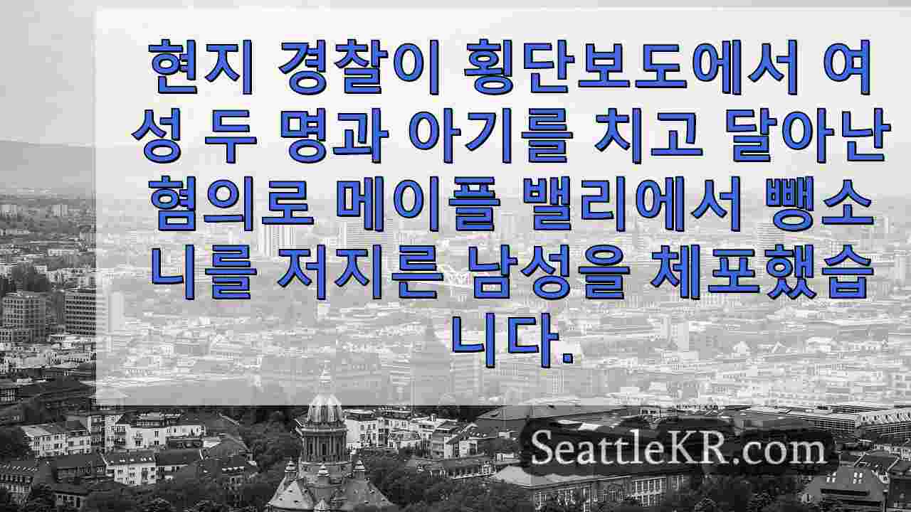 시애틀 뉴스 SeattleKR