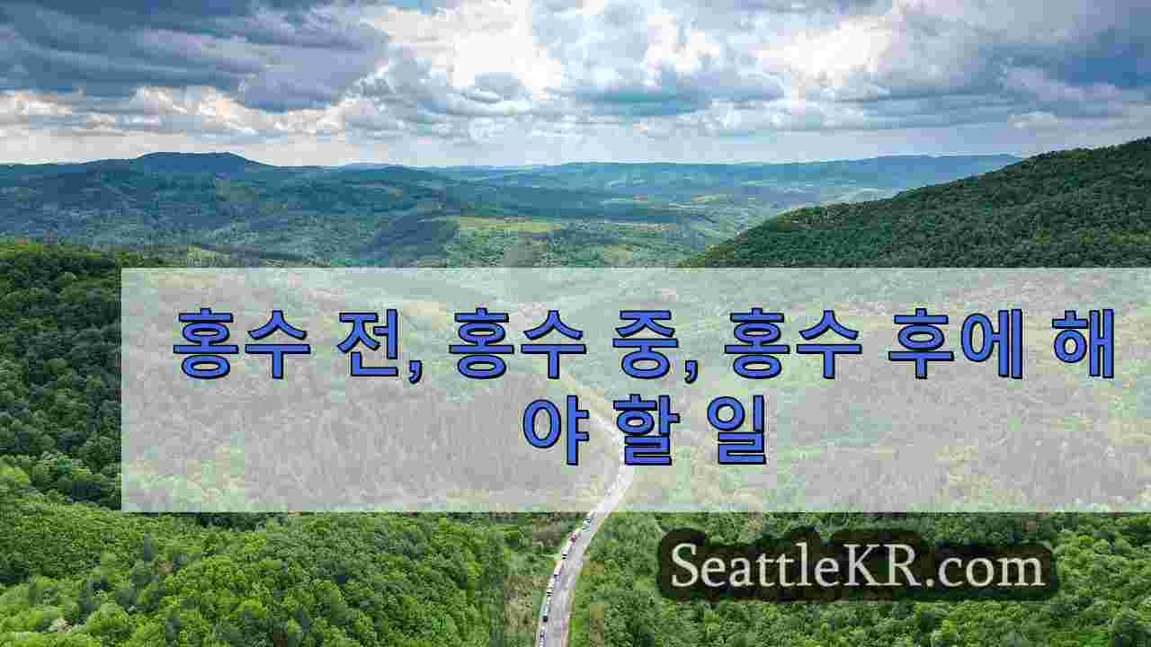 시애틀 뉴스 SeattleKR