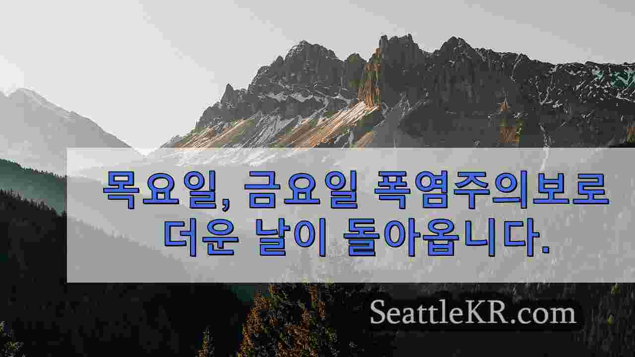 시애틀 뉴스 SeattleKR
