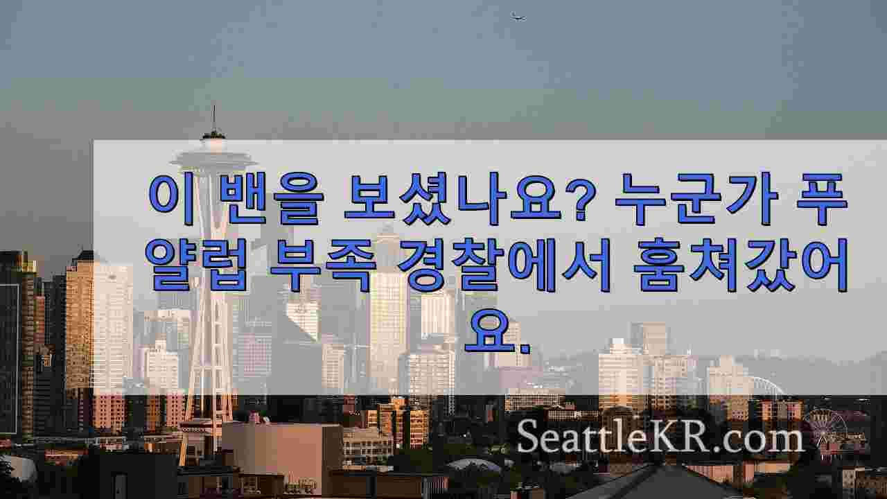 시애틀 뉴스 SeattleKR
