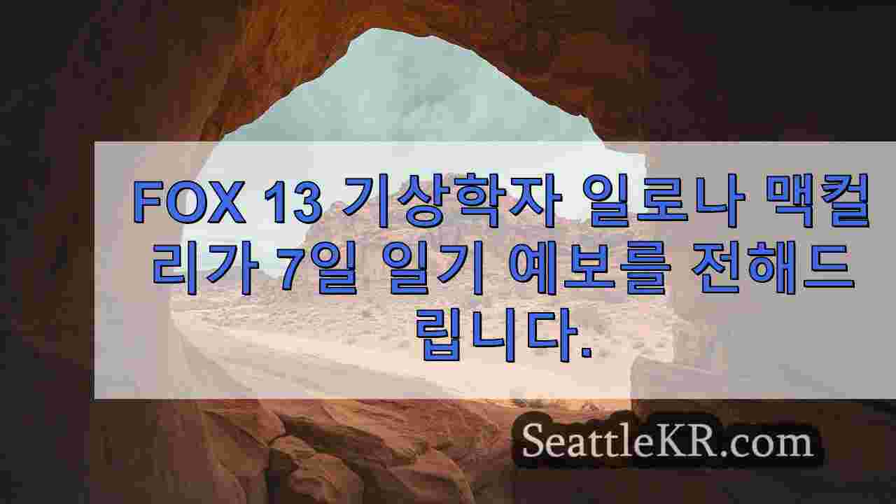시애틀 뉴스 SeattleKR