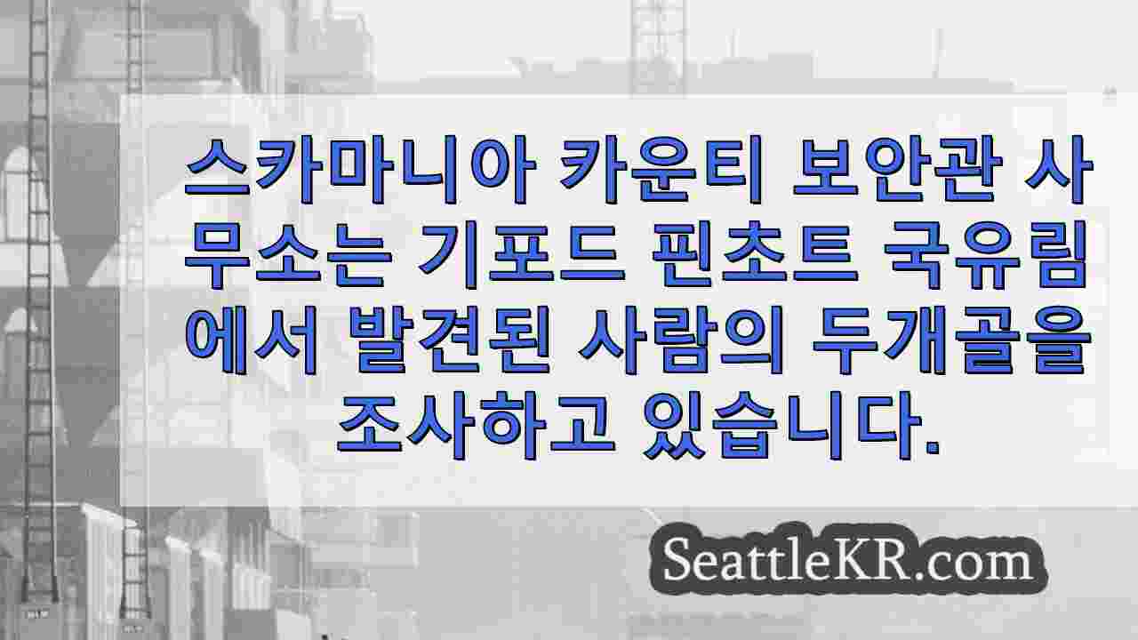 시애틀 뉴스 SeattleKR