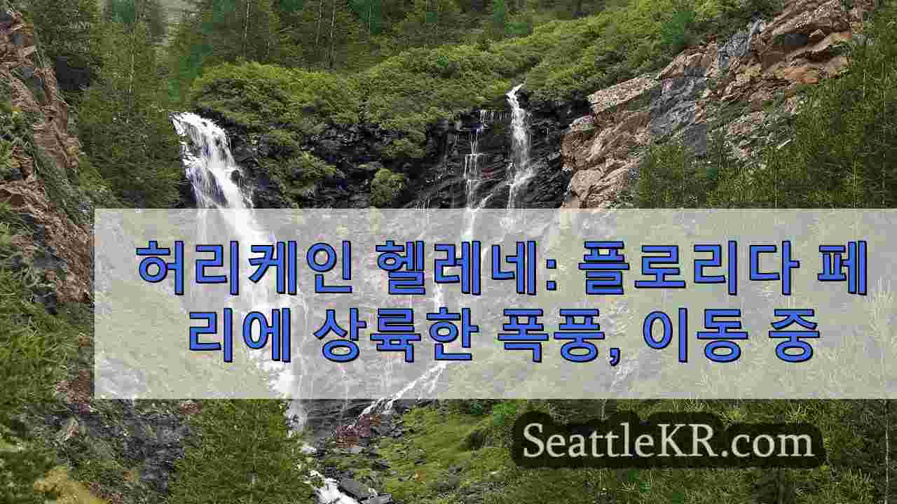 시애틀 뉴스 SeattleKR