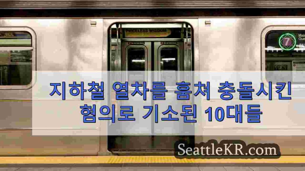 지하철 열차를 훔쳐 충돌시킨 혐의로 기소된 10대들