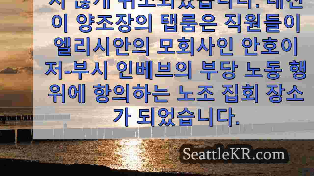시애틀 뉴스 SeattleKR
