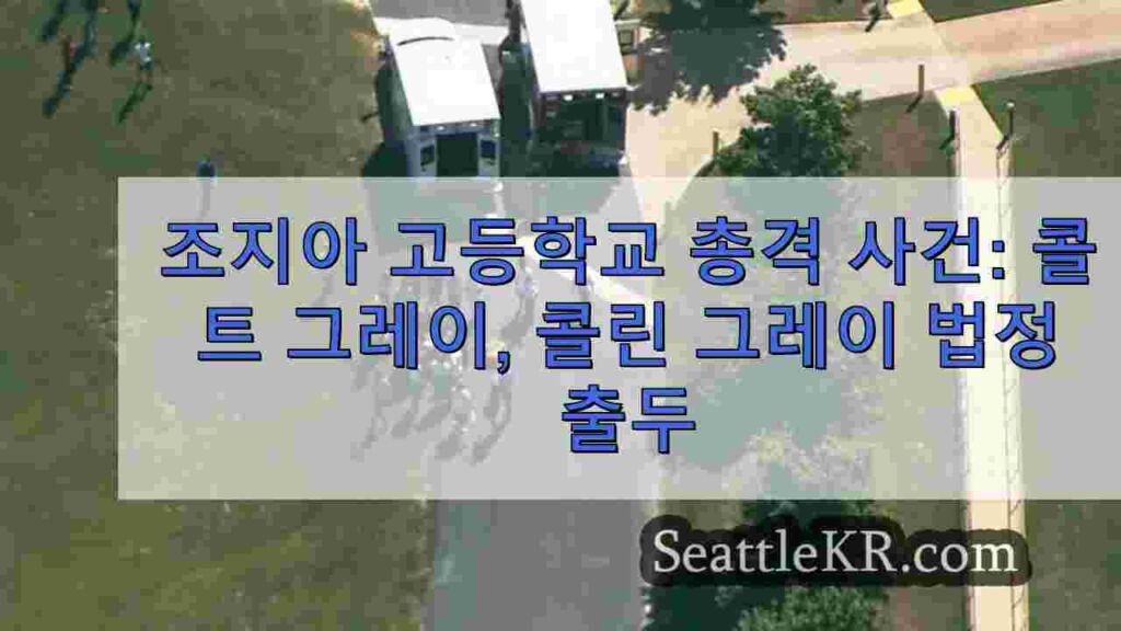 조지아 고등학교 총격 사건: 콜트 그레이, 콜린 그레이 법정 출두