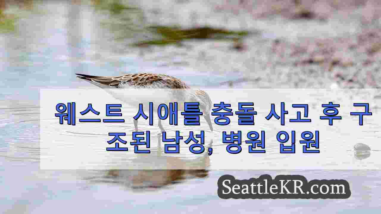 시애틀 뉴스 SeattleKR