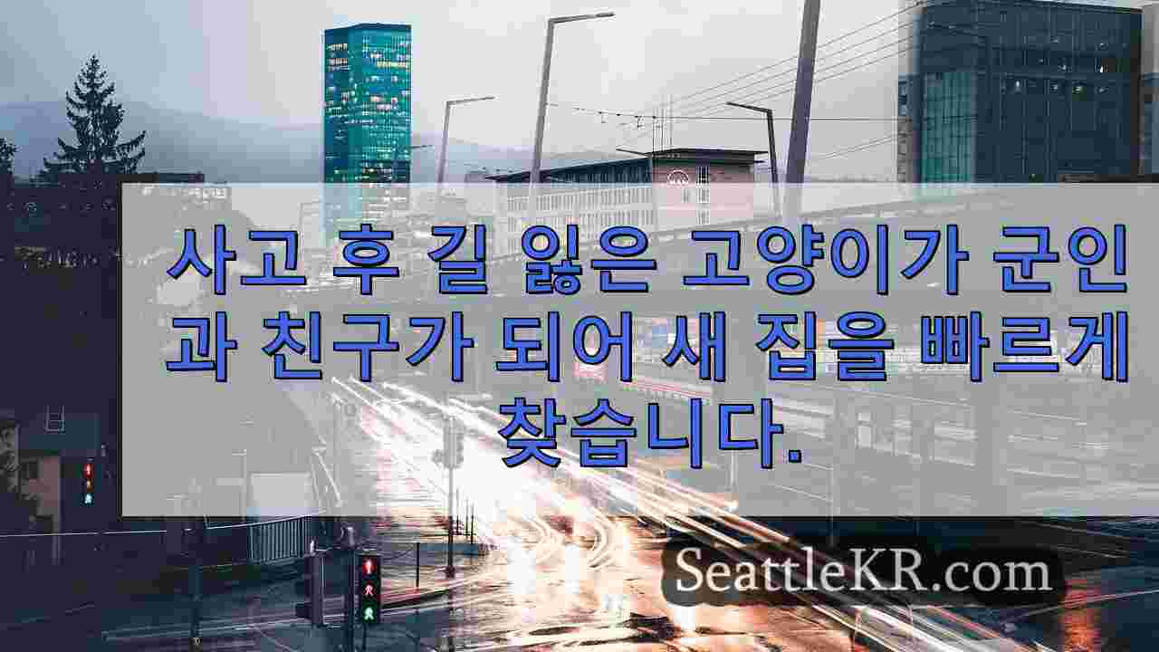 시애틀 뉴스 SeattleKR