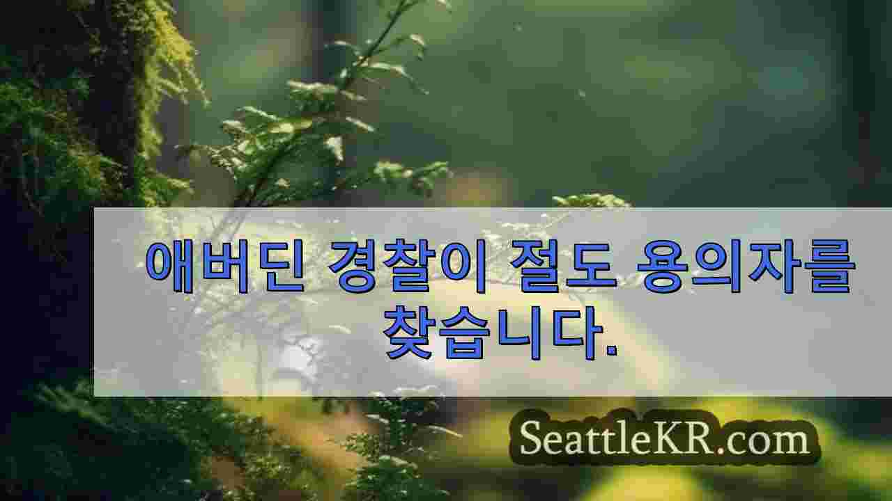 시애틀 뉴스 SeattleKR