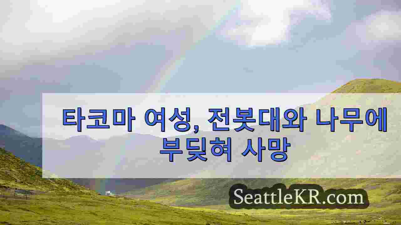 시애틀 뉴스 SeattleKR