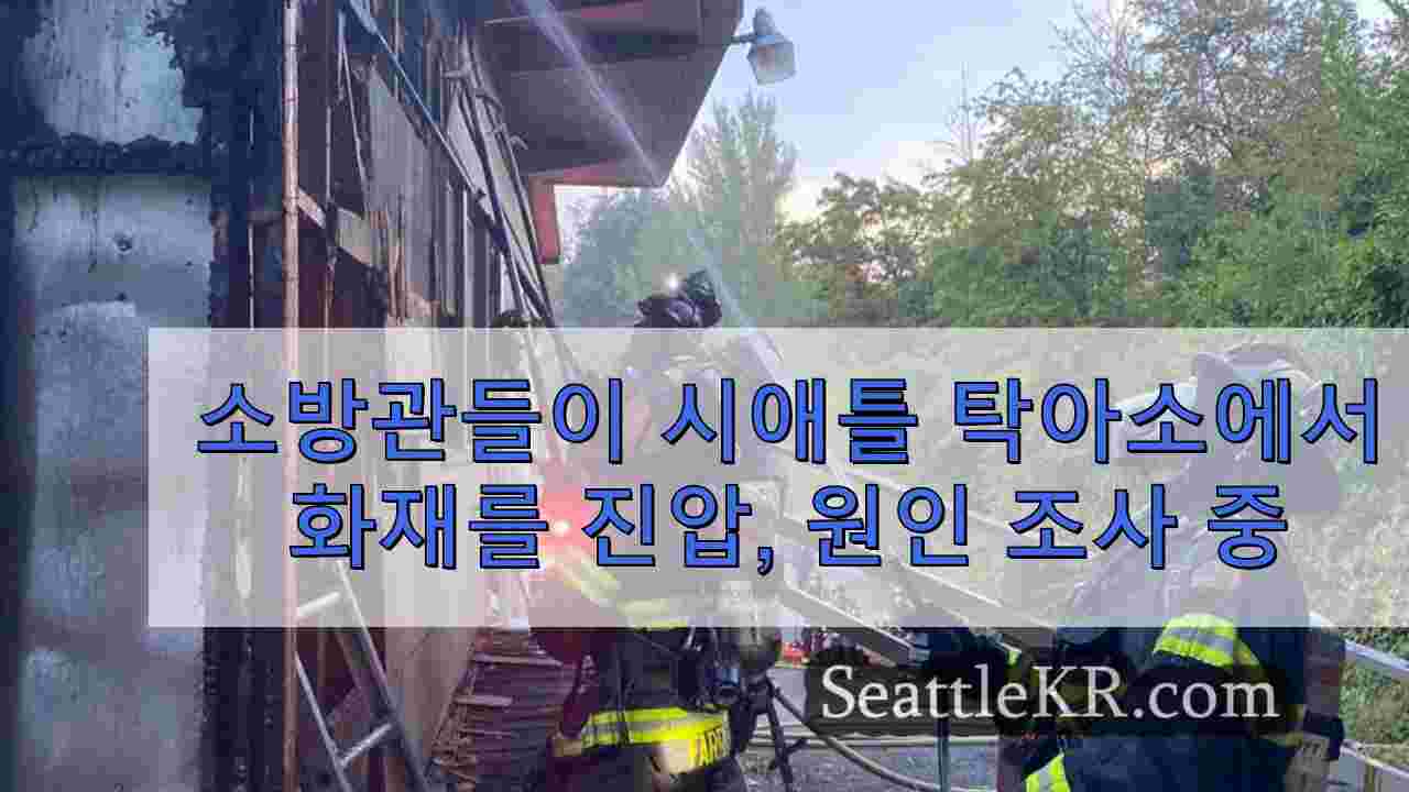 시애틀 뉴스 SeattleKR