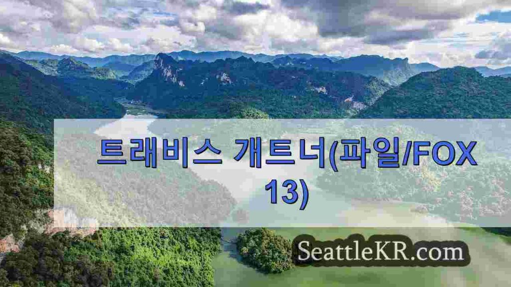 2024 파리 패럴림픽 금메달을 노리는 호주 패럴림픽 선수들, '자유의