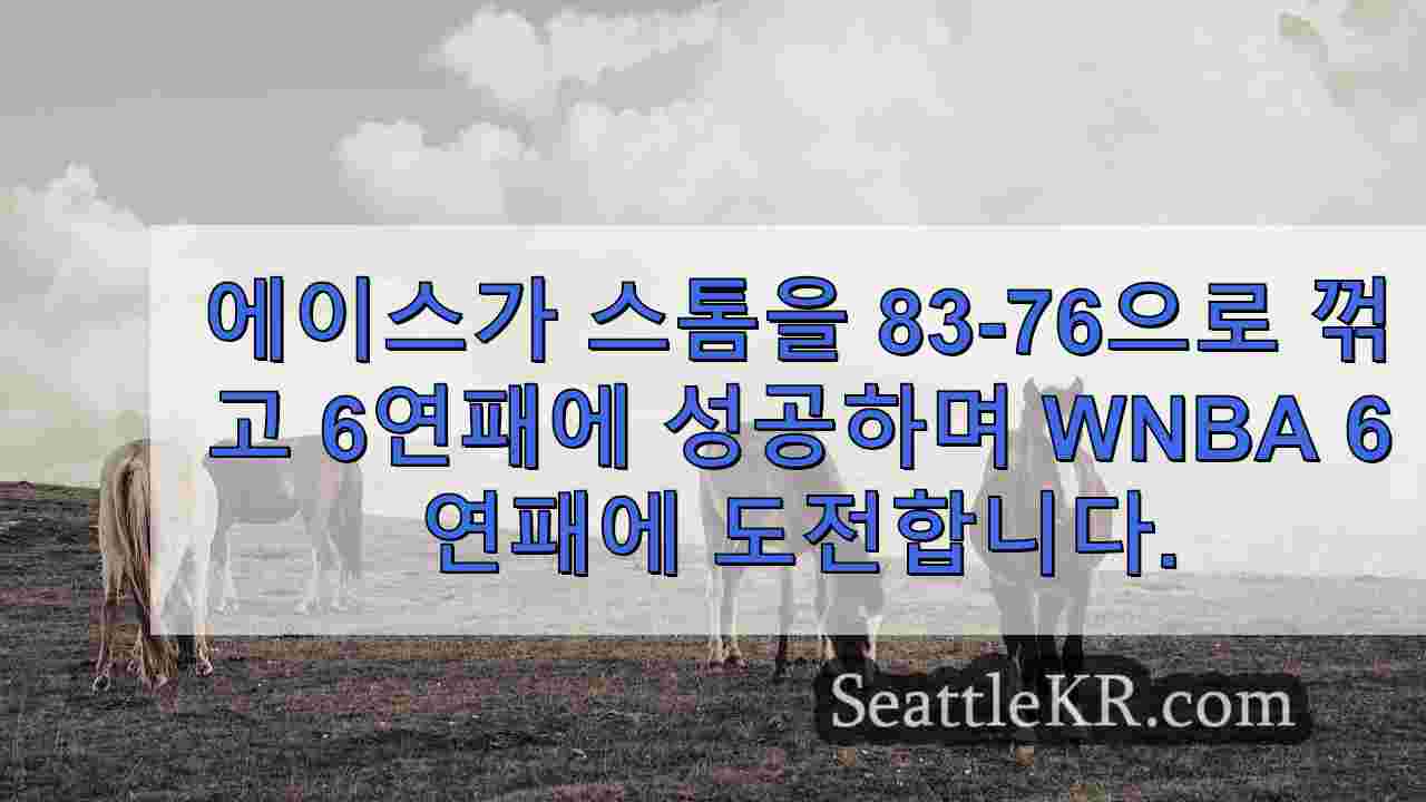 시애틀 뉴스 SeattleKR