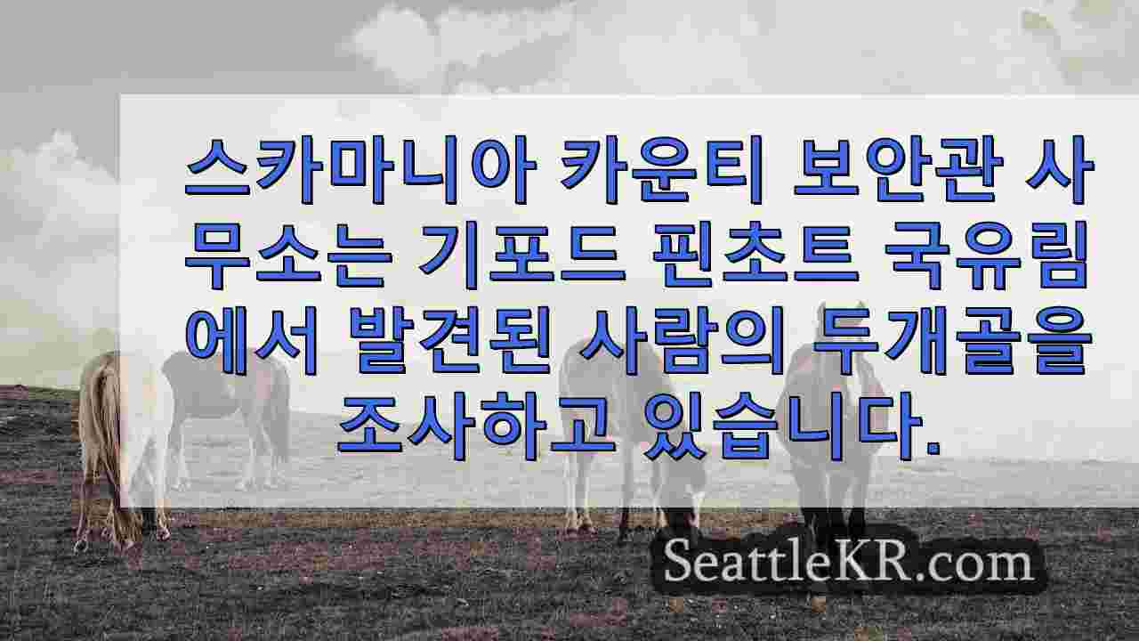 시애틀 뉴스 SeattleKR