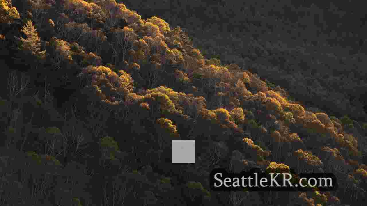 시애틀 뉴스 SeattleKR