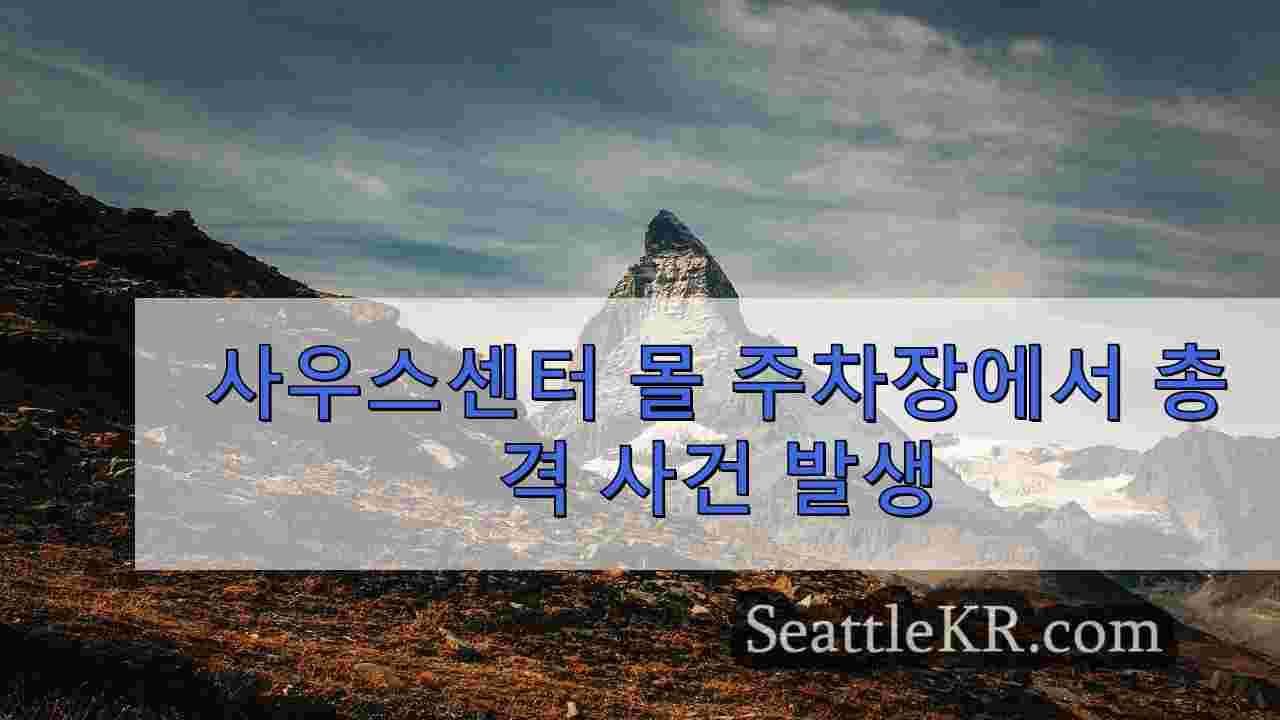 시애틀 뉴스 SeattleKR