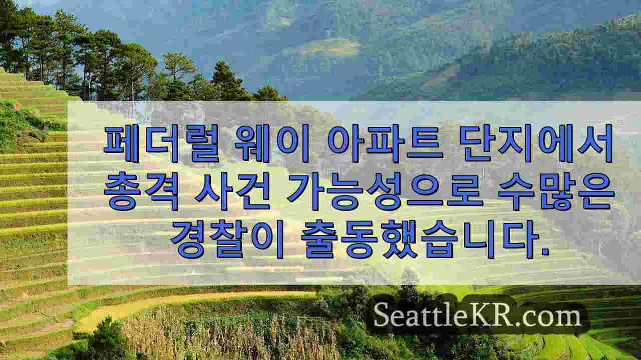 시애틀 뉴스 SeattleKR