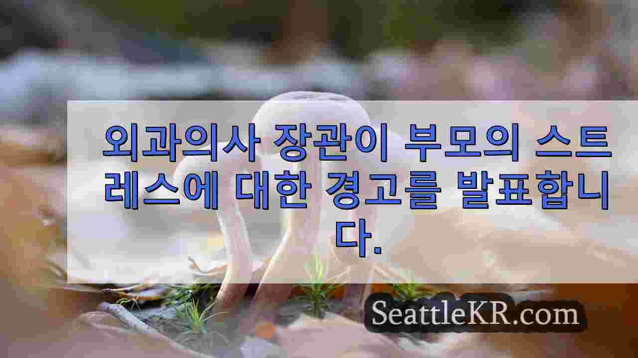 시애틀 뉴스 SeattleKR