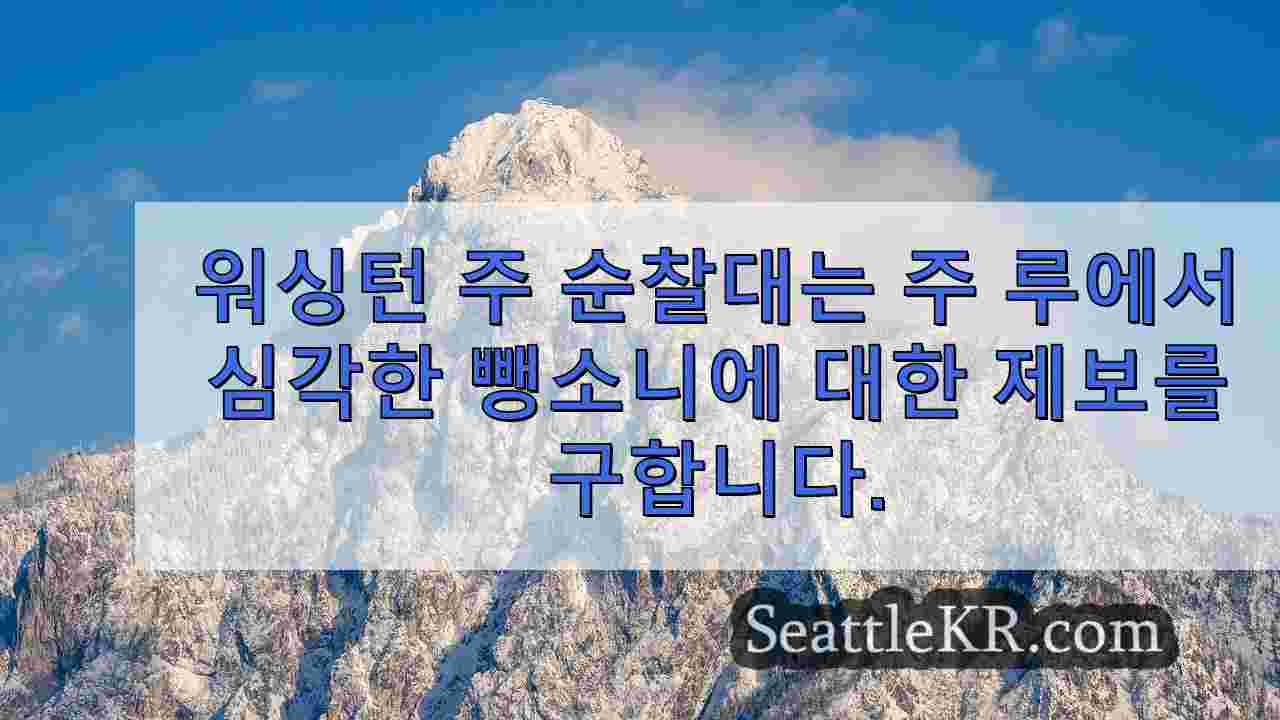 시애틀 뉴스 SeattleKR