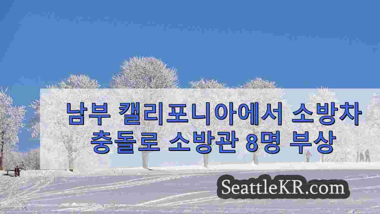 시애틀 뉴스 SeattleKR
