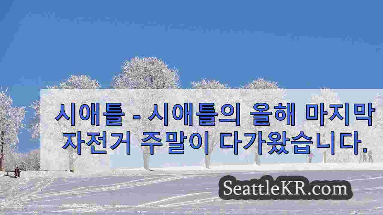 시애틀 뉴스 SeattleKR