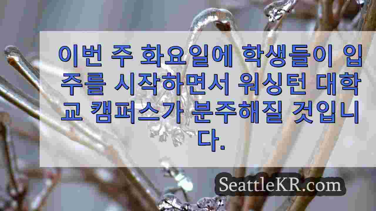 시애틀 뉴스 SeattleKR