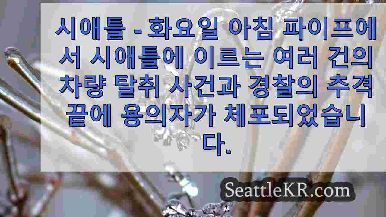 시애틀 뉴스 SeattleKR