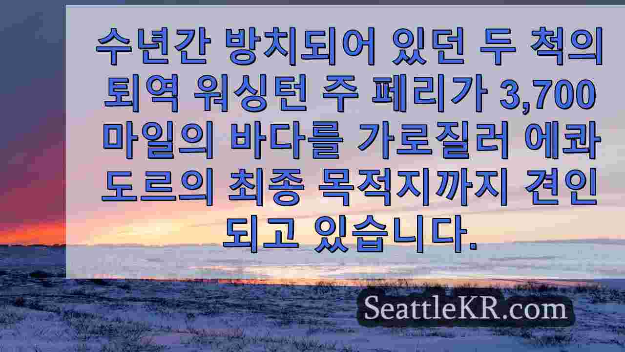 시애틀 뉴스 SeattleKR