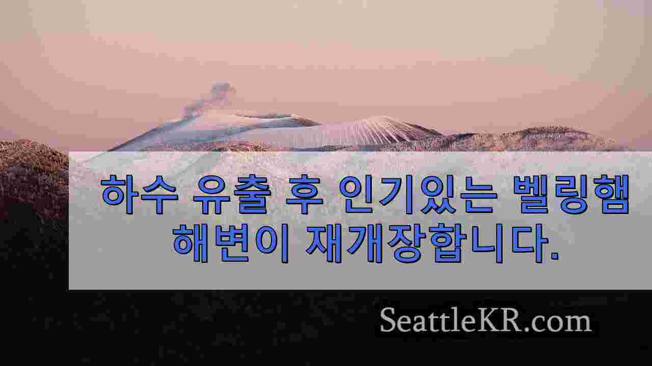 시애틀 뉴스 SeattleKR