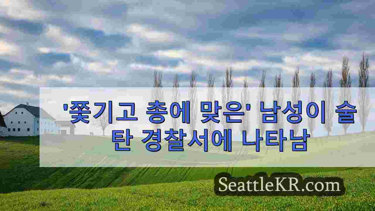 시애틀 뉴스 SeattleKR