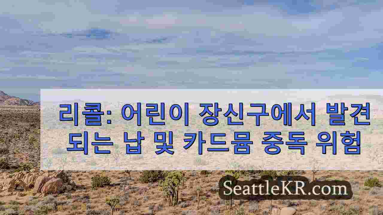 시애틀 뉴스 SeattleKR