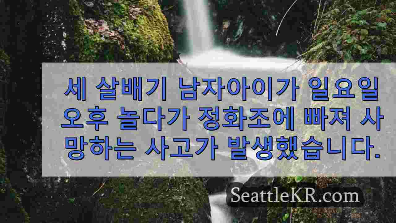시애틀 뉴스 SeattleKR