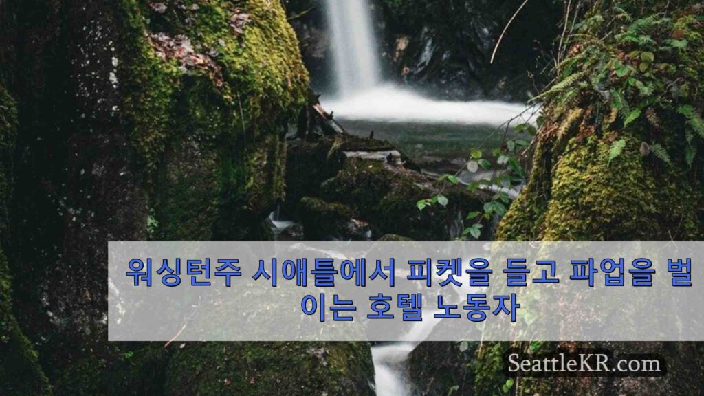 시애틀 지역 호텔 노동자 수백 명이 더 나은 임금과 근무 환경을 위해