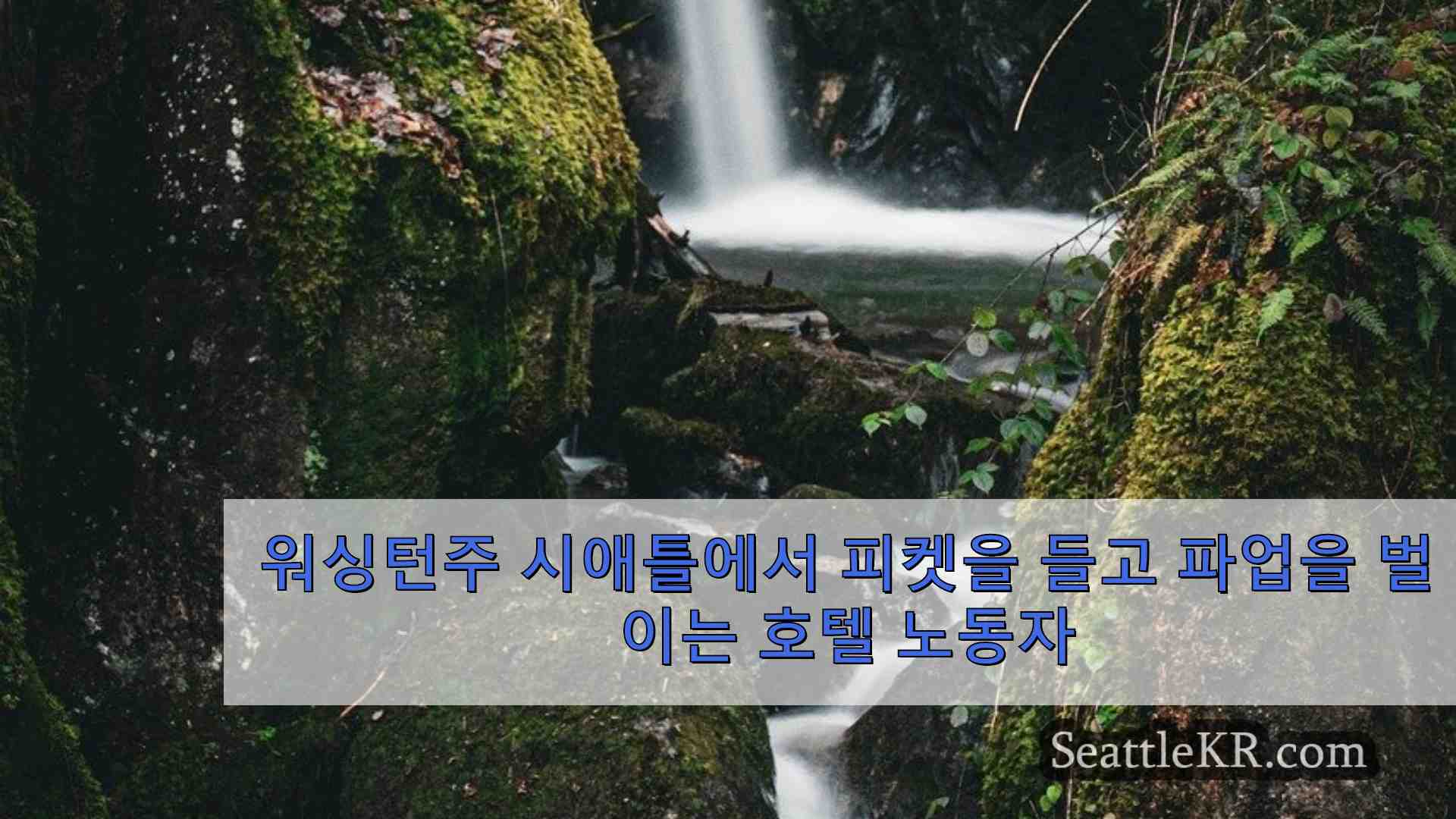 시애틀 지역 호텔 노동자 수백 명이 더 나은 임금과 근무 환경을 위해 파업을 벌입니다.