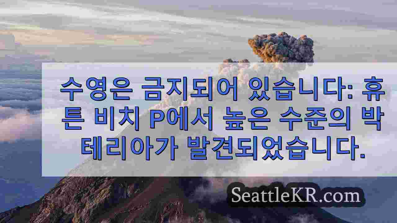 시애틀 뉴스 SeattleKR
