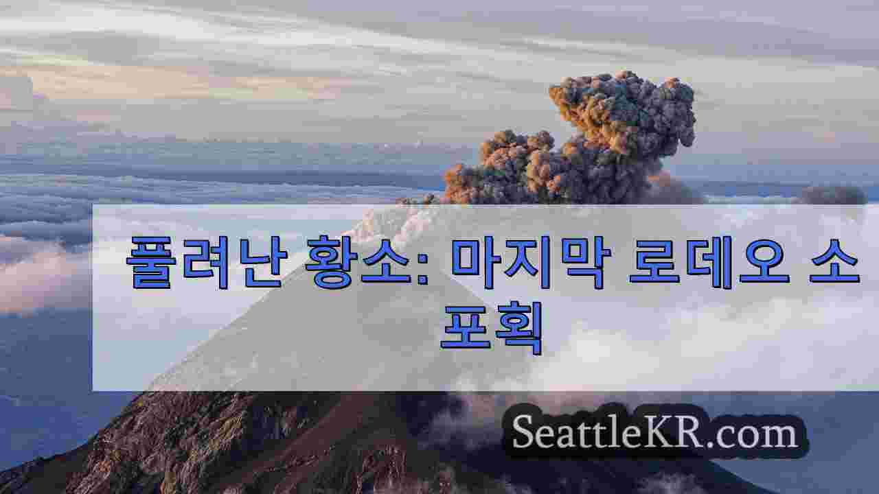 시애틀 뉴스 SeattleKR