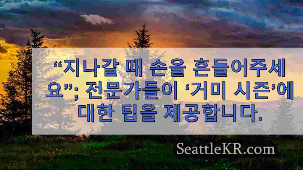 “지나갈 때 손을 흔들어주세요”; 전문가들이 ‘거미 시즌’에 대한 팁을