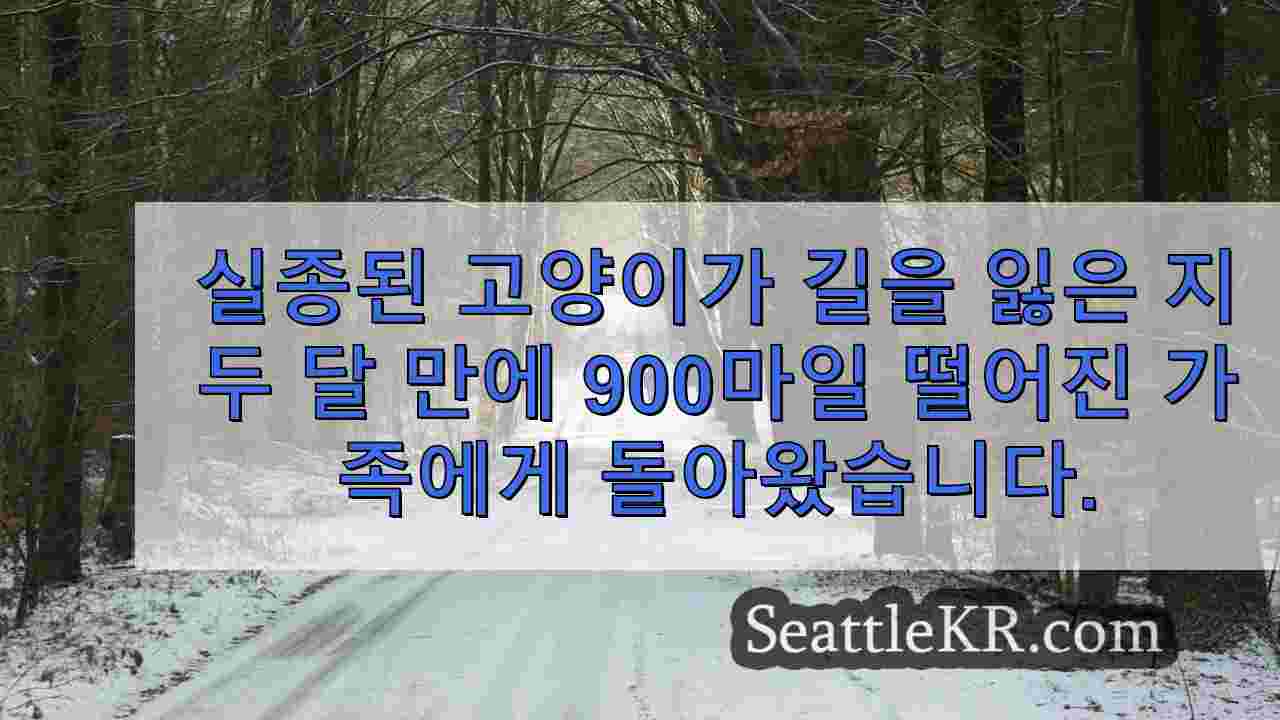 시애틀 뉴스 SeattleKR