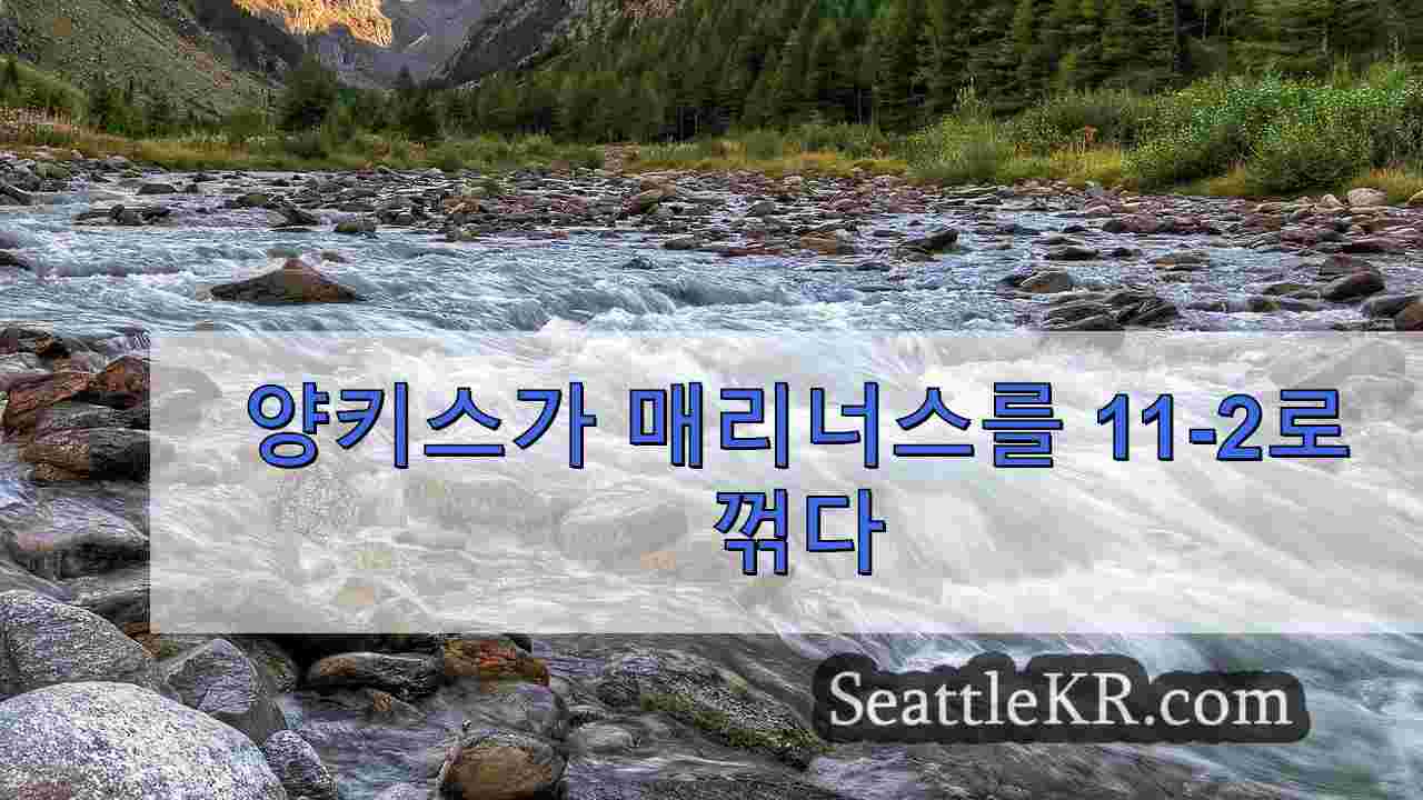 시애틀 뉴스 SeattleKR