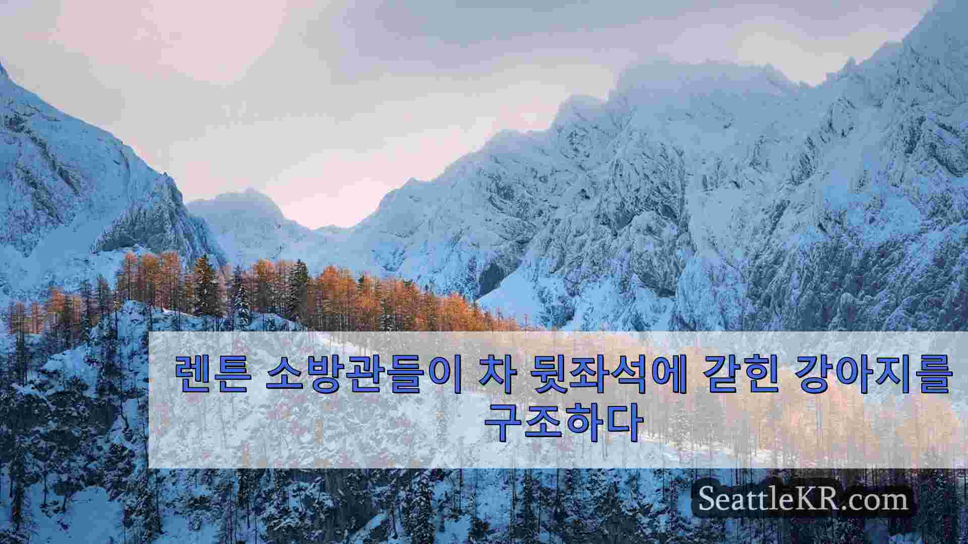 시애틀 뉴스 SeattleKR