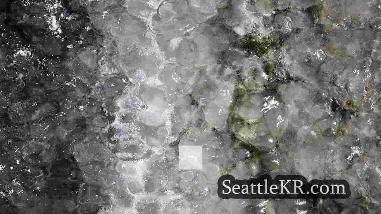 시애틀 뉴스 SeattleKR